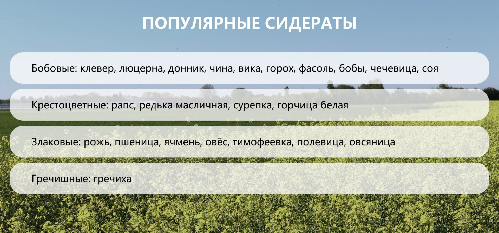 Экодом — современные стандарты автономного жилища